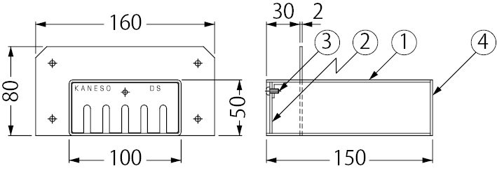 DS-1