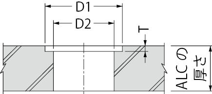 ECSJ-1