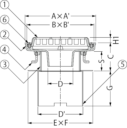 EDMA-1