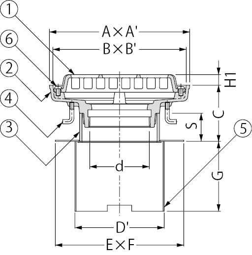 EDMA-2