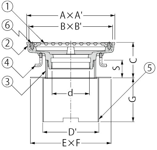 EDMAF-2