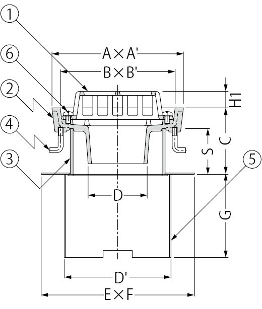 EDMD-1