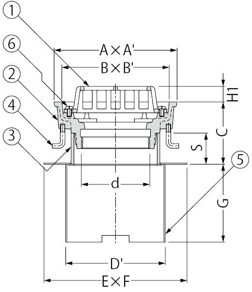 EDMD-2