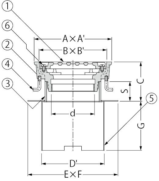 EDMDF-2