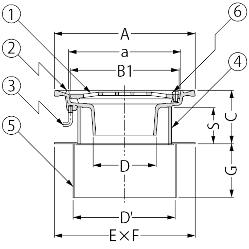 EDMF-1