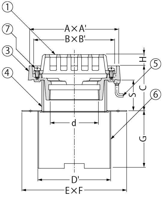 EDMZ-2