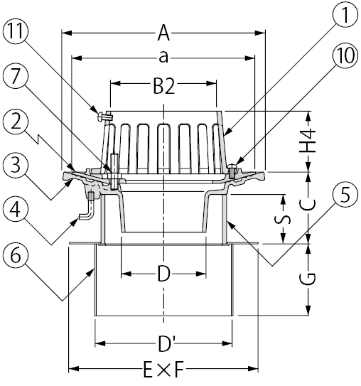 EDSB-1