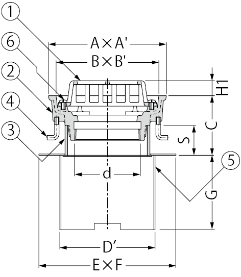 EDSMD-2