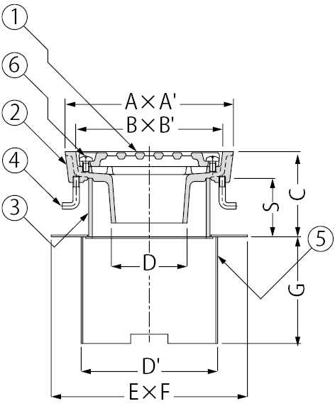 EDSMDF-1