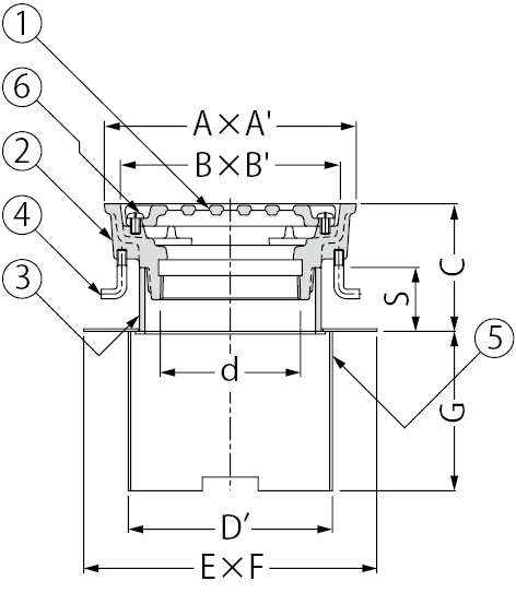 EDSMDF-2