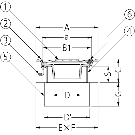 EDSMF-1