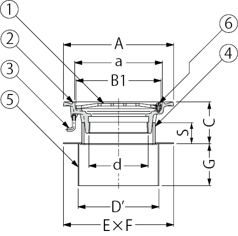 EDSMF-2