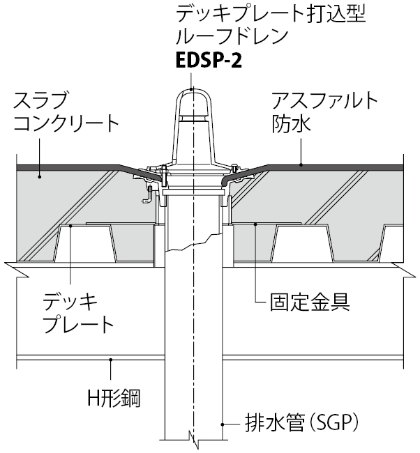 EDSP-2