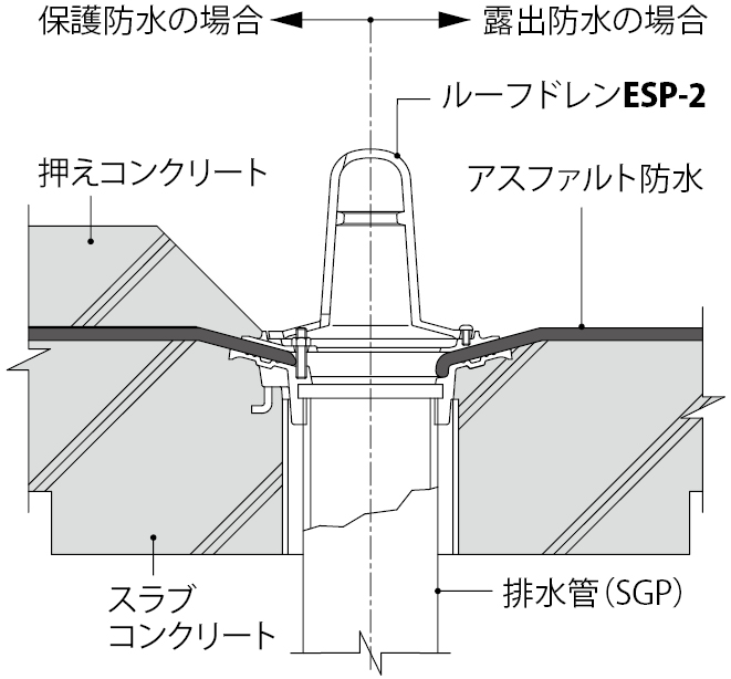 ESP-2