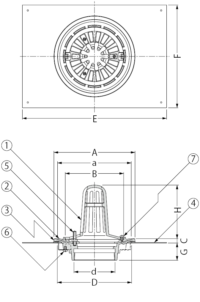 ESP-6