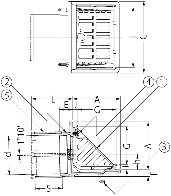 ESXG