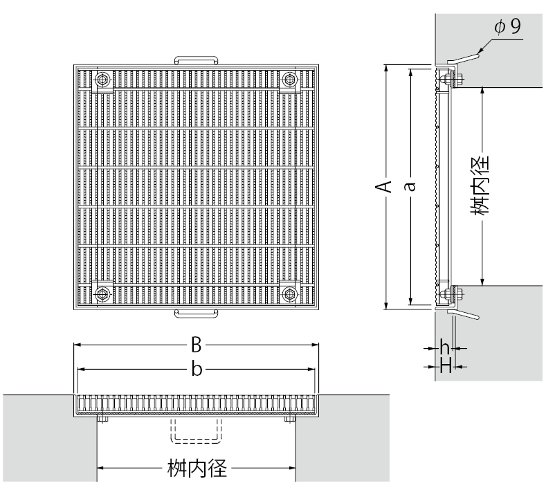 QXCL