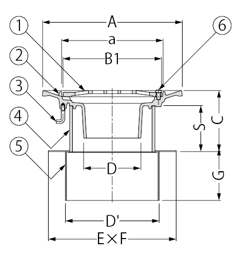 WDMF-1